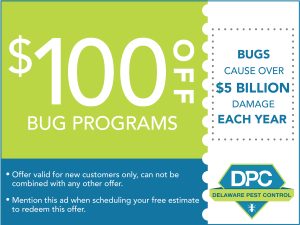 $100 Off bug problems
